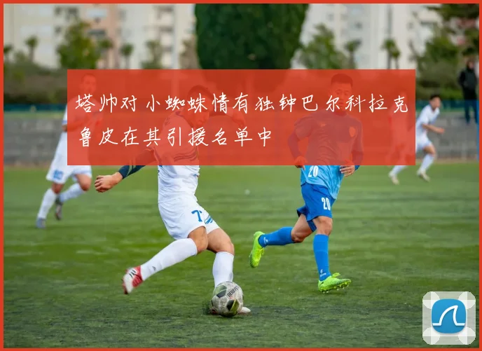 塔帅对小蜘蛛情有独钟巴尔科拉克鲁皮在其引援名单中